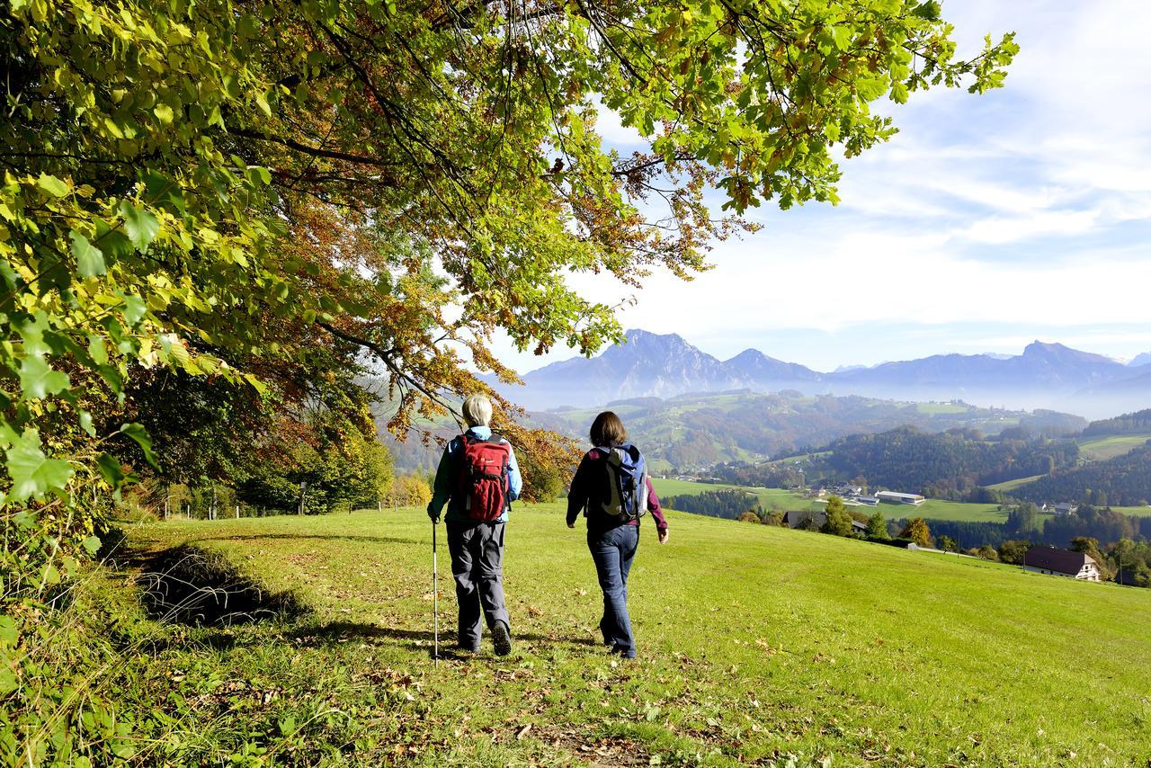 Panorama Traunstein